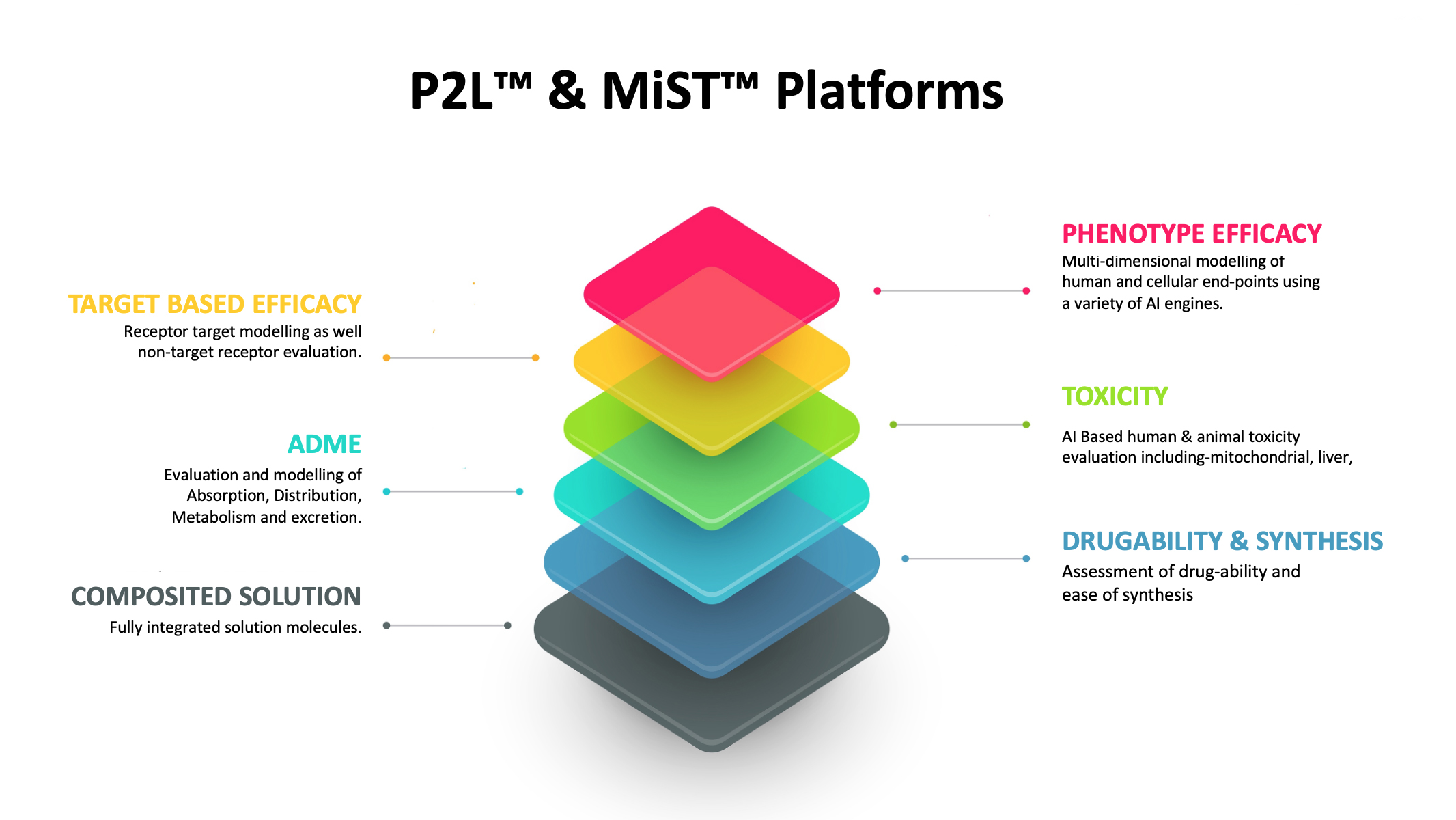 MiST & P2L Platform Graphic